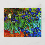 Van Gogh - Irises Briefkaart<br><div class="desc">Vincent van Gogh's schilderij uit 1889,  Irises,  briefkaart.</div>