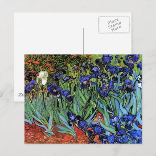 Van Gogh Irises (F608)  Fine Art Briefkaart (Voorkant / Achterkant)