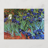Van Gogh Irises (F608) Fine Art Briefkaart (Voorkant)