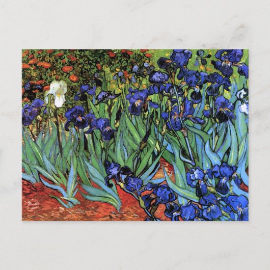 Van Gogh Irises (F608)  Fine Art Briefkaart (Voorkant)