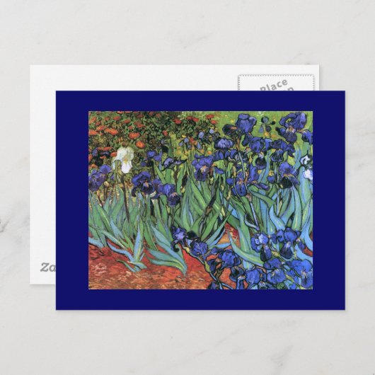 Van Gogh Irises (F608)  Fine Art Briefkaart (Voorkant / Achterkant)