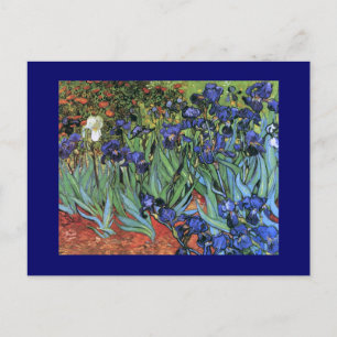 Van Gogh Irises (F608) Fine Art Briefkaart