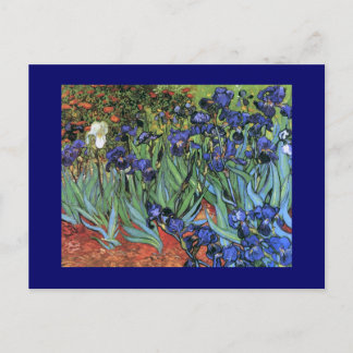 Van Gogh Irises (F608)  Fine Art Briefkaart