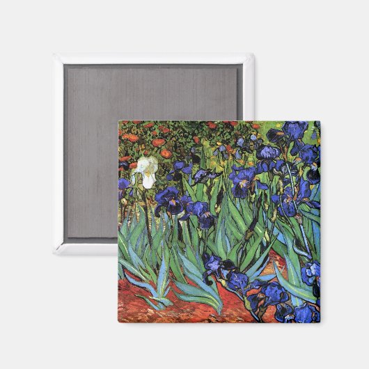 Van Gogh Irises (F608)  Fine Art Magneet (Voorkant / Achterkant)