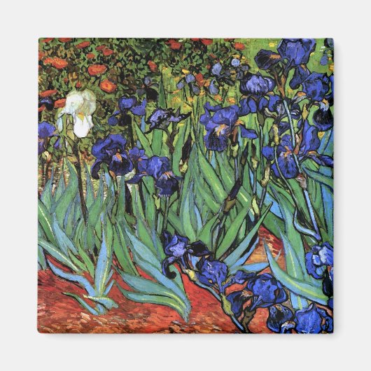 Van Gogh Irises (F608) Fine Art Magneet (Voorkant)