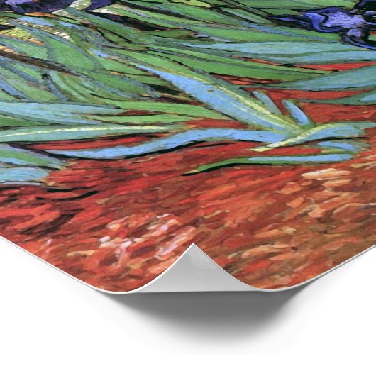 Van Gogh Irises (F608)  Fine Art Poster (Hoek)