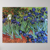 Van Gogh Irises (F608)  Fine Art Poster (Voorkant)