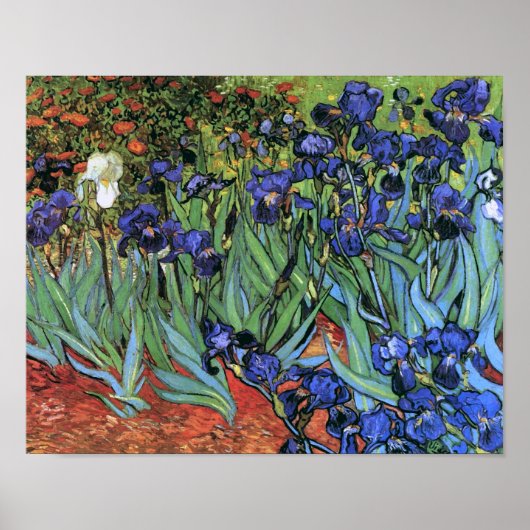 Van Gogh Irises (F608)  Fine Art Poster (Voorkant)