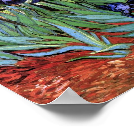 Van Gogh Irises (F608) Fine Art Poster (Hoek)