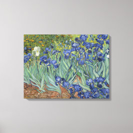 Van Gogh Irises Fine Art Painting Canvas Afdruk