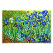Van Gogh Irises Foto Afdruk (Voorkant)