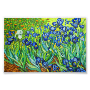Van Gogh Irises Foto Afdruk