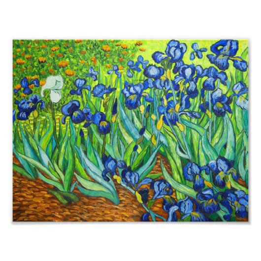 Van Gogh Irises Foto Afdruk (Voorkant)