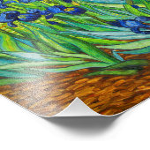 Van Gogh Irises Foto Afdruk (Hoek)