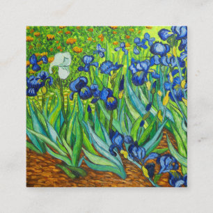 Van Gogh Irises Informatiekaartje