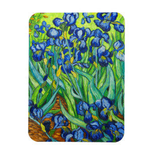 Van Gogh Irises Magneet