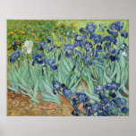 Van Gogh Irises,  Post Impressionisme Art Poster<br><div class="desc">Van Gogh Irises, Post Impressionism Art Poster .Irises door Vincent van Gogh is een fijne kunstschilderij van het impressionisme, een landschapsschilderij met een boeket van bebaarde paarse irissen die groeien in een tuin met een enkele witte irisbloem.Vincent Willem van Gogh was een Post Impressionist nederlandse schilder wiens werk het meest...</div>