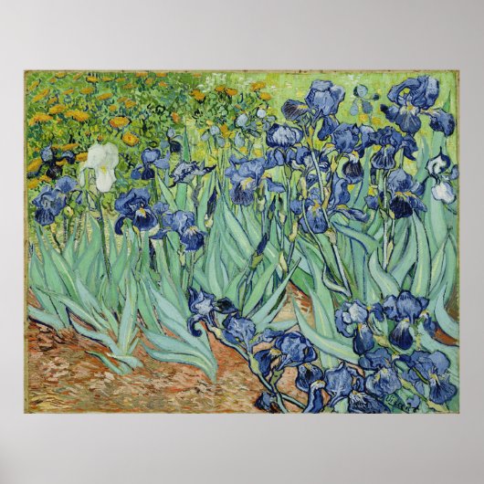 Van Gogh Irises,  Post Impressionisme Art Poster (Voorkant)