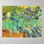 Van Gogh Irises Poster (Voorkant)