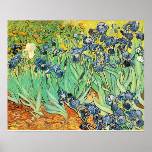 Van Gogh Irises Poster (Voorkant)