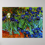 Van Gogh - Irises Poster (Voorkant)