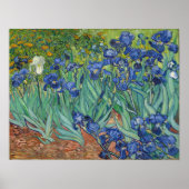 Van Gogh - Irises Poster (Voorkant)