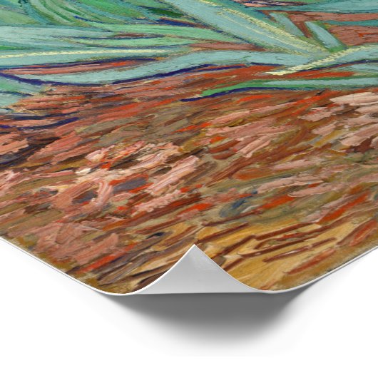 Van Gogh - Irises Poster (Hoek)