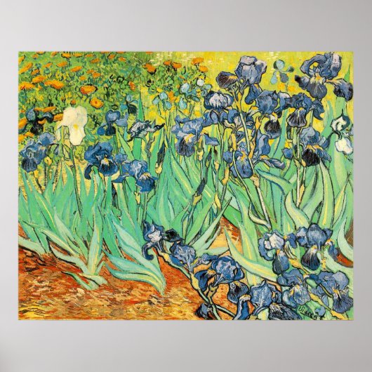 Van Gogh Irises Poster (Voorkant)