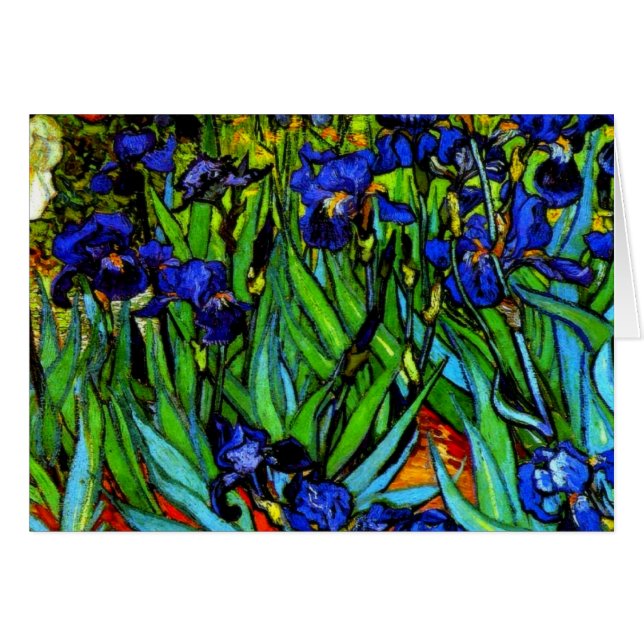 Van Gogh - Irises, Vincent Van Gogh schilderij (Voorkant Horizontaal)