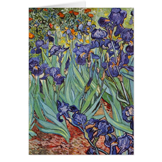 Van Gogh Irissen Impressionistisch Schilderij (Voorkant)