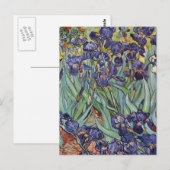 Van Gogh Irissen Impressionistisch Schilderij Briefkaart (Voorkant / Achterkant)