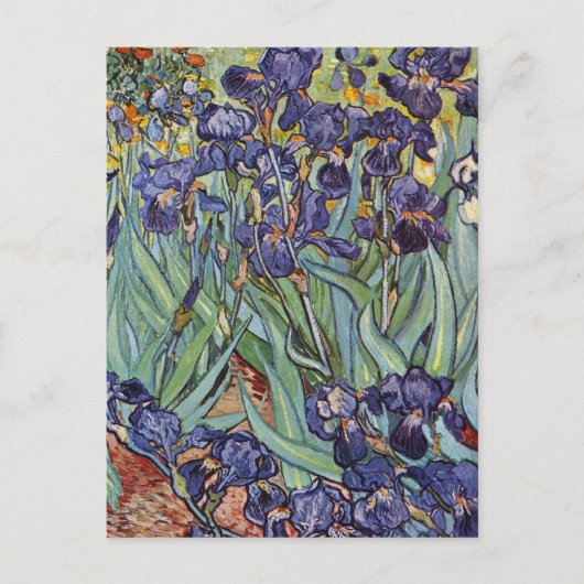 Van Gogh Irissen Impressionistisch Schilderij Briefkaart (Voorkant)