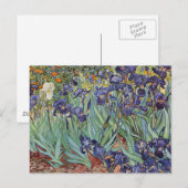 Van Gogh Irissen Impressionistisch Schilderij Briefkaart (Voorkant / Achterkant)