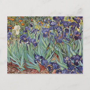 Van Gogh Irissen Impressionistisch Schilderij Briefkaart