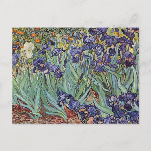 Van Gogh Irissen Impressionistisch Schilderij Briefkaart (Voorkant)
