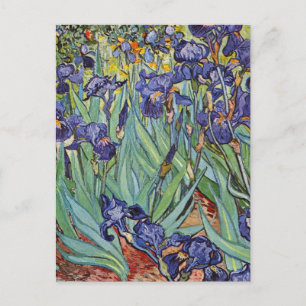 Van Gogh Irissen Impressionistisch Schilderij Briefkaart