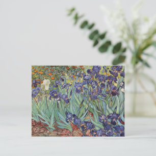 Van Gogh Irissen Impressionistisch Schilderij Briefkaart