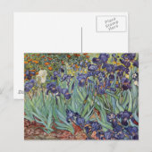 Van Gogh Irissen Impressionistisch Schilderij Briefkaart (Voorkant / Achterkant)
