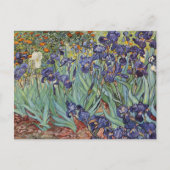 Van Gogh Irissen Impressionistisch Schilderij Briefkaart (Voorkant)