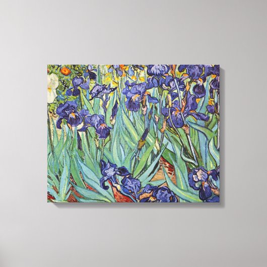 Van Gogh Irissen Impressionistisch Schilderij Canvas Afdruk (Voorkant)