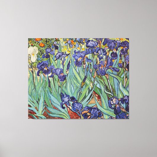 Van Gogh Irissen Impressionistisch Schilderij Canvas Afdruk (Voorkant)