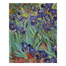Van Gogh Irissen Impressionistisch Schilderij Perfect Poster