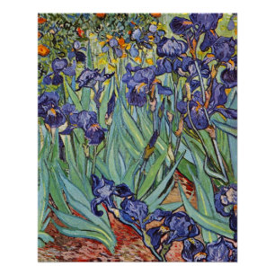 Van Gogh Irissen Impressionistisch Schilderij Perfect Poster
