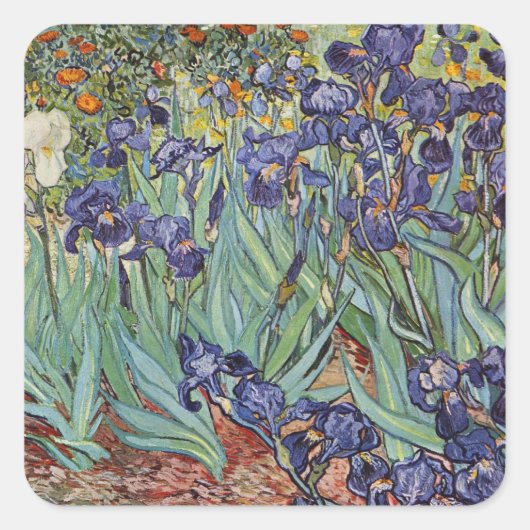 Van Gogh Irissen Impressionistisch Schilderij Vierkante Sticker (Voorkant)