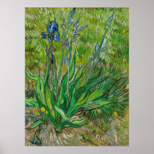 Van Gogh Irissen - Klassieke Blauwe Bloemschilderk Poster