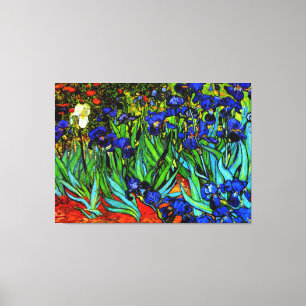 Van Gogh - Irissen, kunstschilderij Canvas Afdruk
