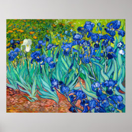 Van Gogh, Irissen, Les Iris, 1889 Poster