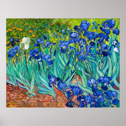 Van Gogh, Irissen, Les Iris, 1889 Poster (Voorkant)