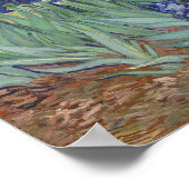 Van Gogh Irissen Poster (Hoek)