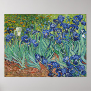 Van Gogh - Irissen Poster